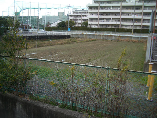 写真あり