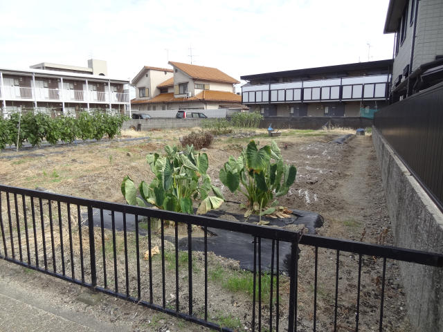 写真あり