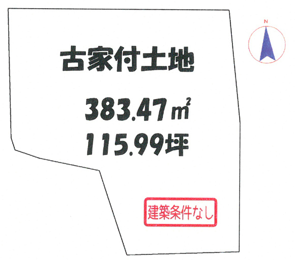 21394画像