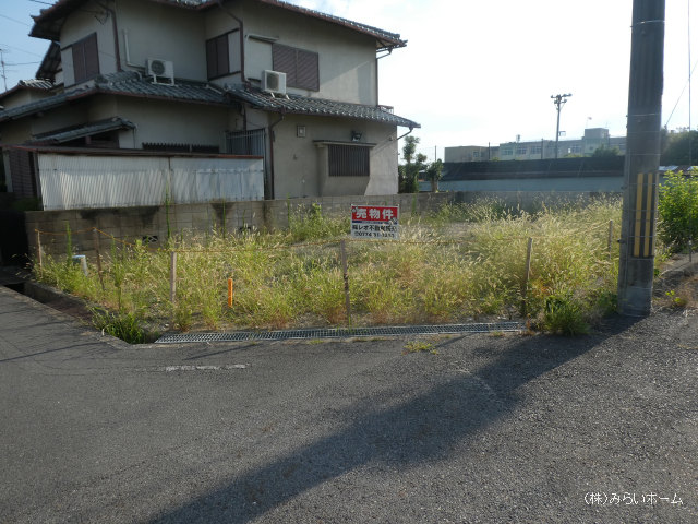 21156画像