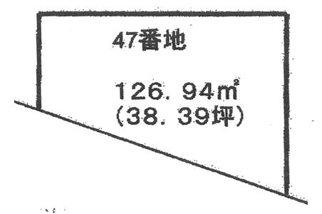 19855画像