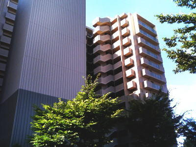 19925画像